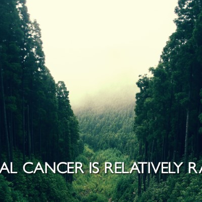 1920 x 1080 HD Wallpapers 3199